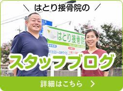 スタッフブログ